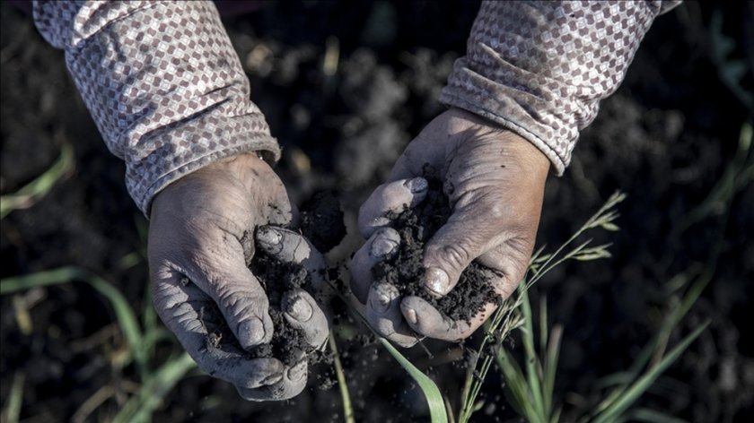ДНК проучване: Земеделци от Западен Анадол променят гените на Европа с до 100%, но един район устоява