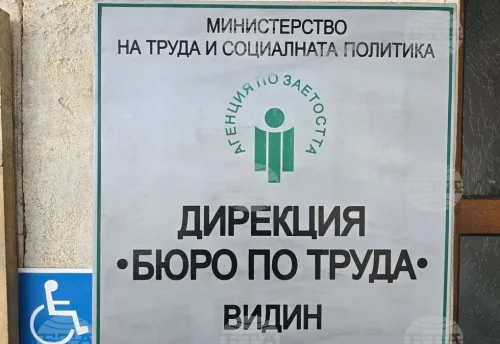 Свободните работни места във Видинско: Работници, шофьори и здравни кадри се търсят най-много