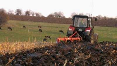 40 000 евро безвъзмездно за млади фермери през 2026: Стартът на приема се очаква есента