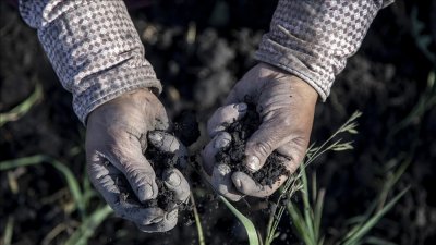 ДНК проучване: Земеделци от Западен Анадол променят гените на Европа с до 100%, но един район устоява