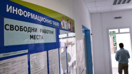 Свободни работни места в Северозапада: Агенцията по заетостта обяви десетки позиции във Видин, Враца и Монтана