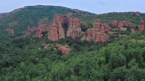 Горите в Западна Стара планина под натиск: СЗДП Враца обучи екипи как да пазят буковите местообитания