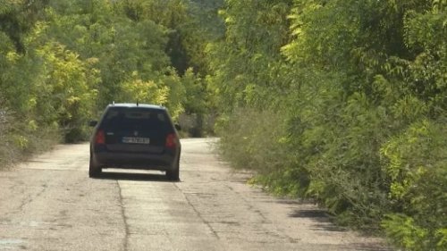Пътят II-11 в Северозапада се разпада: Дупки, храсти и ежедневни рискове за шофьорите