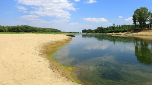 Ниското ниво на река Дунав не спира водата за Лом: МРРБ обяви какво пази града и селата
