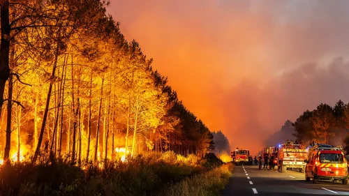 (ВИДЕО) Пожарите край Бордо и Мадрид: 330 000 евакуирани, огънят се разраства