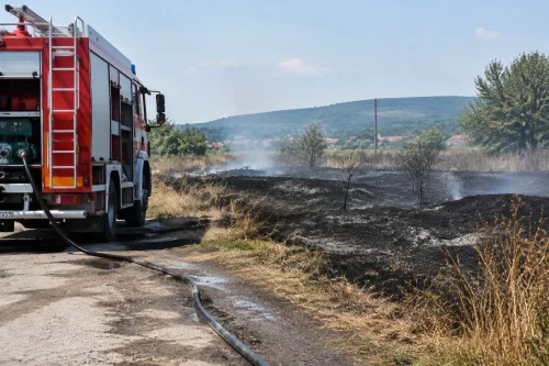Пожарната в Монтана и Лом потуши пожар край Смирненски