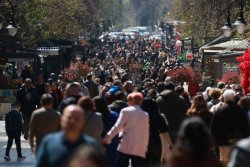 Социолозите потвърждават активното участие на гласоподаватели на парламентарните избори