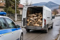 Полицаи във Вълчедръм спряха бус с 3 кубика дърва без билет