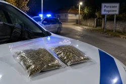 Арест в Рогозен: задържаха мъж с два плика „чай за пушене“